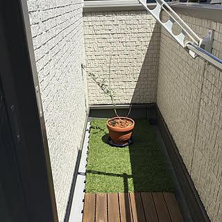 ニトリ/狭小ベランダ/オリーブの鉢植え/RCの出会いに感謝♡/建売り住宅をおしゃれにしたい...などのインテリア実例 - 2019-07-30 13:28:21