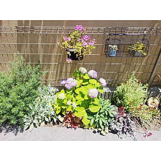 ガーデニング 霧島の恵のインテリア実例 Roomclip ルームクリップ