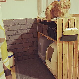 猫トイレカバーdiyのインテリア 手作りの実例 Roomclip ルームクリップ