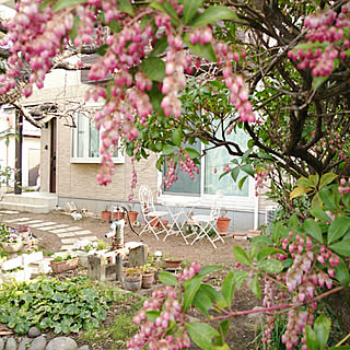 玄関/入り口/庭のある暮らし/物語に憧れる/クリスマスチアー/庭...などのインテリア実例 - 2020-02-14 21:11:35