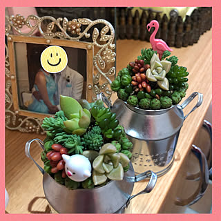 多肉寄せ植え ネルソル土のインテリア実例 Roomclip ルームクリップ