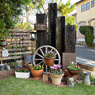 ビオラ ガーデンシクラメンのインテリア実例 Roomclip ルームクリップ