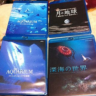 机/DVD&Blu-ray&CDのインテリア実例 - 2013-05-02 00:14:51