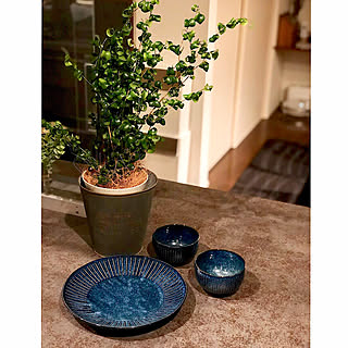 机/和食器/観葉植物のある暮らし/雑貨市/ベンジャミンバロック...などのインテリア実例 - 2018-06-29 23:21:51