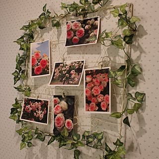 バス/トイレ/ハンドメイド/ばら/3COINSワイヤーカゴ/フェイクグリーン♡...などのインテリア実例 - 2014-03-30 17:15:05
