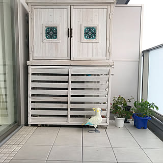 玄関 入り口 ブーゲンビリアのインテリア実例 Roomclip ルームクリップ