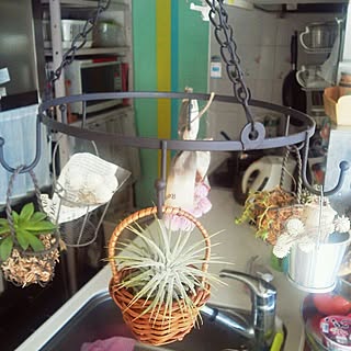 多肉植物 ナチュラルキッチンのかごのインテリア実例 Roomclip ルームクリップ