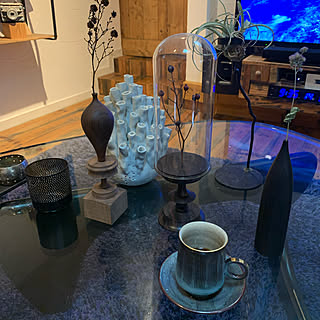 置物/植物/green/セルフビルド/植物のある暮らし...などのインテリア実例 - 2019-12-07 09:38:19