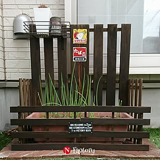 玄関/入り口/DIY/ダイソー/セリア/ガーデニング...などのインテリア実例 - 2017-04-26 07:12:48