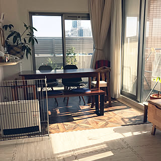 ニトリ/観葉植物/無印良品/IKEA/雑貨...などのインテリア実例 - 2020-01-22 13:49:52