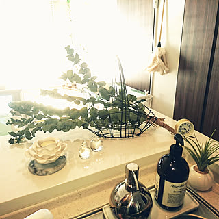 キッチン/アイアン雑貨/100均アイテム/マンションライフ/いぬのいる暮らし...などのインテリア実例 - 2017-11-25 09:32:21