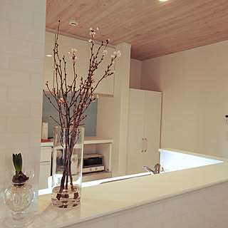 ヒヤシンス/さくら/アオヤマフラワーマーケット/ブルーグレーの壁/キッチン...などのインテリア実例 - 2019-02-10 14:44:13