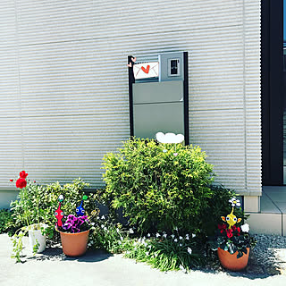 ピクミンのインテリア実例 Roomclip ルームクリップ