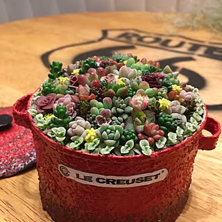 セダムちまちま寄せのインテリア実例 Roomclip ルームクリップ