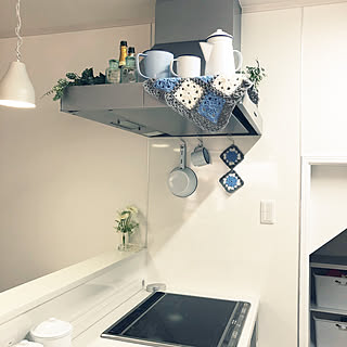 フェイクグリーン/ホーロー雑貨/みんな大好き♡/中古一戸建て/みていただきありがとうございます❤️...などのインテリア実例 - 2020-02-24 11:16:21