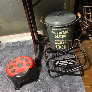 キッチン/パイプ椅子 リメイク/てんとう虫のいす/やっと手に入った!/ダイソー...などのインテリア実例 - 2018-05-21 16:22:54