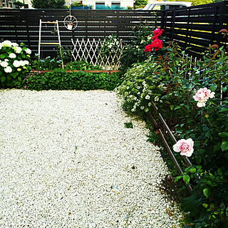 家庭菜園 大葉のインテリア実例 Roomclip ルームクリップ