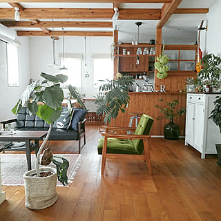 観葉植物 暑さ対策のインテリア実例 Roomclip ルームクリップ 観葉植物 暑さ対策のインテリア実例 Roomclip ルームクリップ