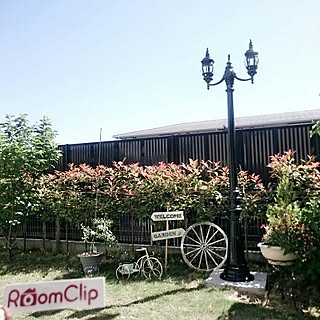 庭 さくらんぼの木のインテリア実例 Roomclip ルームクリップ 庭 さくらんぼの木のインテリア実例 Roomclip ルームクリップ