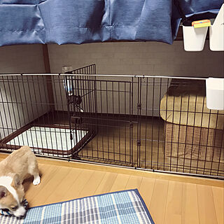 Ikea 犬小屋diyのインテリア 手作りの実例 Roomclip ルームクリップ