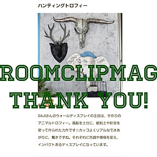 ハンティングトロフィーdiyのインテリア 手作りの実例 Roomclip ルームクリップ