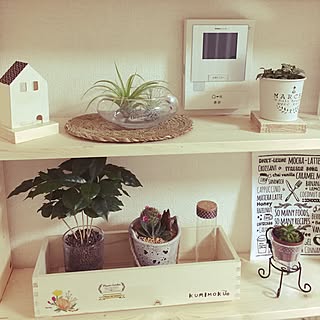 カインズホーム観葉植物 のインテリア実例 Roomclip ルームクリップ カインズホーム観葉植物 のインテリア実例 Roomclip ルームクリップ