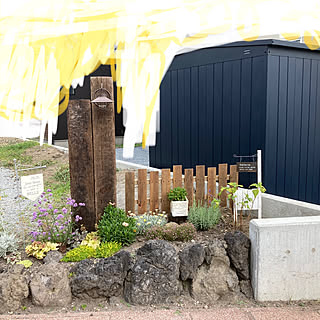 宿根かすみ草のインテリア実例 Roomclip ルームクリップ