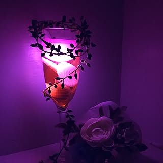 100円均一 食紅のまとめページ Roomclip ルームクリップ 100円均一 食紅のまとめページ Roomclip ルームクリップ