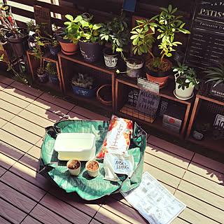 トマトの土のインテリア実例 Roomclip ルームクリップ