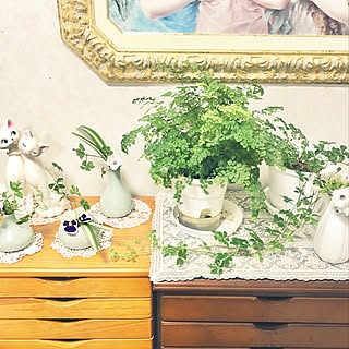 机/RCの出会いに感謝♡/お花大好き♡/観葉植物のある部屋/グリーン大好き♡...などのインテリア実例 - 2018-04-21 03:28:36