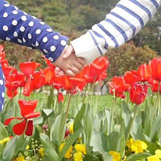 インテリアじゃなくてすみません。/チューリップ/公園/子供と暮らす/兄妹のインテリア実例 - 2015-04-13 22:28:59