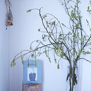 花のある暮らし 青文字のインテリア実例 Roomclip ルームクリップ 花のある暮らし 青文字のインテリア実例 Roomclip ルームクリップ