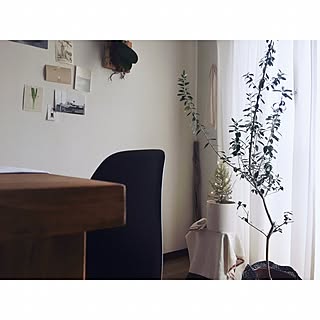 リビング/植物のある生活/グリーンのある暮らし/植物のある暮らし/無垢の家具...などのインテリア実例 - 2016-12-24 11:23:00