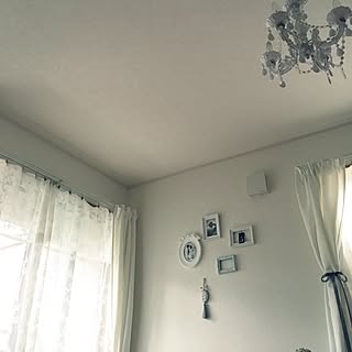 女性の、、一人暮らしの「部屋全体」についてのインテリア実例