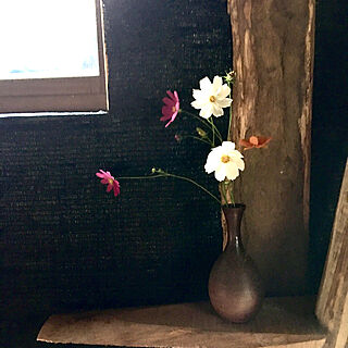 花瓶/花のある風景/和室/本格和室/木の板...などのインテリア実例 - 2019-10-06 18:59:27