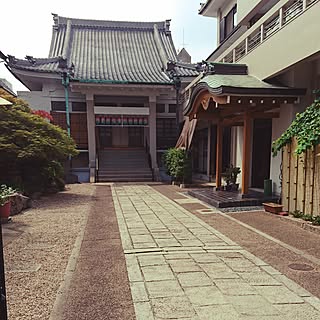玄関/入り口/実家/お寺/いつもいいねやコメありがとうございます♡/みなさんの素敵なインテリアに癒されてます/ワンコと暮らす家...などのインテリア実例 - 2016-08-14 14:01:42