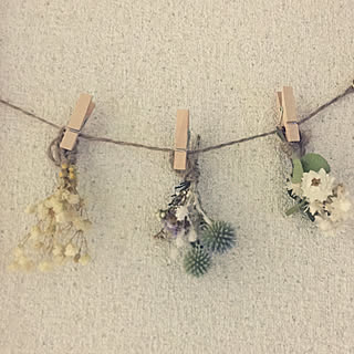 壁/天井/ハンドメイド/花のある暮らしに憧れる/ガーランド/ミニドライフラワー...などのインテリア実例 - 2018-02-27 13:54:32