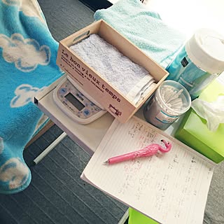 ベッド周り/名前は「ハク」/皆さんに感謝/インテリアじゃなくてごめんなさいのインテリア実例 - 2017-02-12 10:28:16