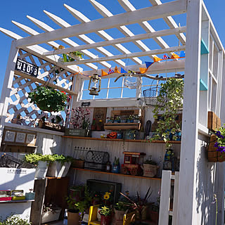 多肉小屋のインテリア実例 Roomclip ルームクリップ