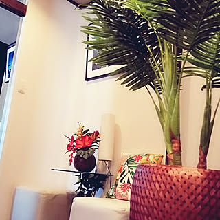 RC名古屋同盟/RC愛知同盟/インスタもcocosorasaku/こんな私にいつもありがとう❤️/好きに囲まれて幸せ。...などのインテリア実例 - 2018-06-01 12:52:52
