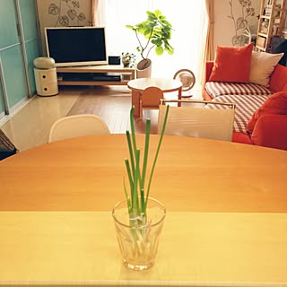 キッチン/ネギ/再生野菜/北欧/ナチュラル...などのインテリア実例 - 2016-09-15 11:08:41