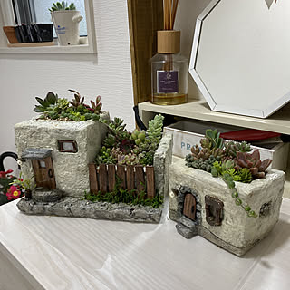多肉植物 モルタルデコのインテリア実例 Roomclip ルームクリップ 多肉植物 モルタルデコのインテリア実例 Roomclip ルームクリップ