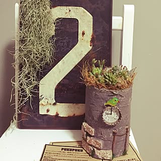 激安エアプランツのインテリア実例 Roomclip ルームクリップ