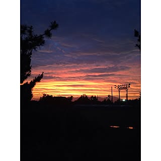 部屋全体/庭からの景色/お仕事終わりました♡/インテリアじゃなくてごめんなさい/子供と暮らす。...などのインテリア実例 - 2015-06-27 19:20:45