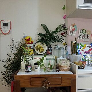 キッチン/雑貨/植物/breadcaseのインテリア実例 - 2013-08-13 23:29:28