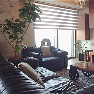 部屋全体/ロールカーテン/ジャーナルスタンダードファニチャー/時計/ウォールクロック...などのインテリア実例 - 2016-04-09 10:58:37