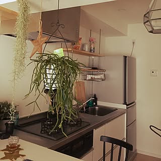 キッチン/観葉植物/IKEA/一人暮らしのインテリア実例 - 2016-09-29 08:57:36