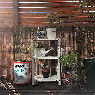 目隠し 鉢植えガーデンのインテリア実例 Roomclip ルームクリップ