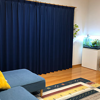 ロイヤルブルーのインテリア実例 Roomclip ルームクリップ ロイヤルブルーのインテリア実例 Roomclip ルームクリップ