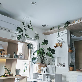 フラワーベース/100均/癒し/猫とインテリア/セリア...などのインテリア実例 - 2020-01-24 09:44:25